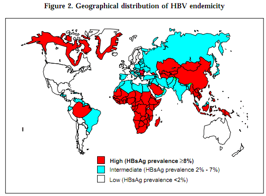 フィリピン留学時のＢ型肝炎のリスク