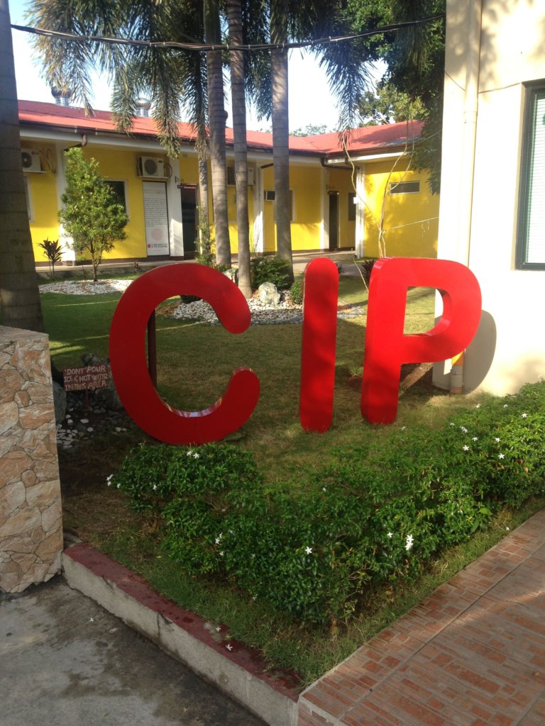 クラークの語学学校CIPの口コミ！フィリピン留学生が魅力を語ります