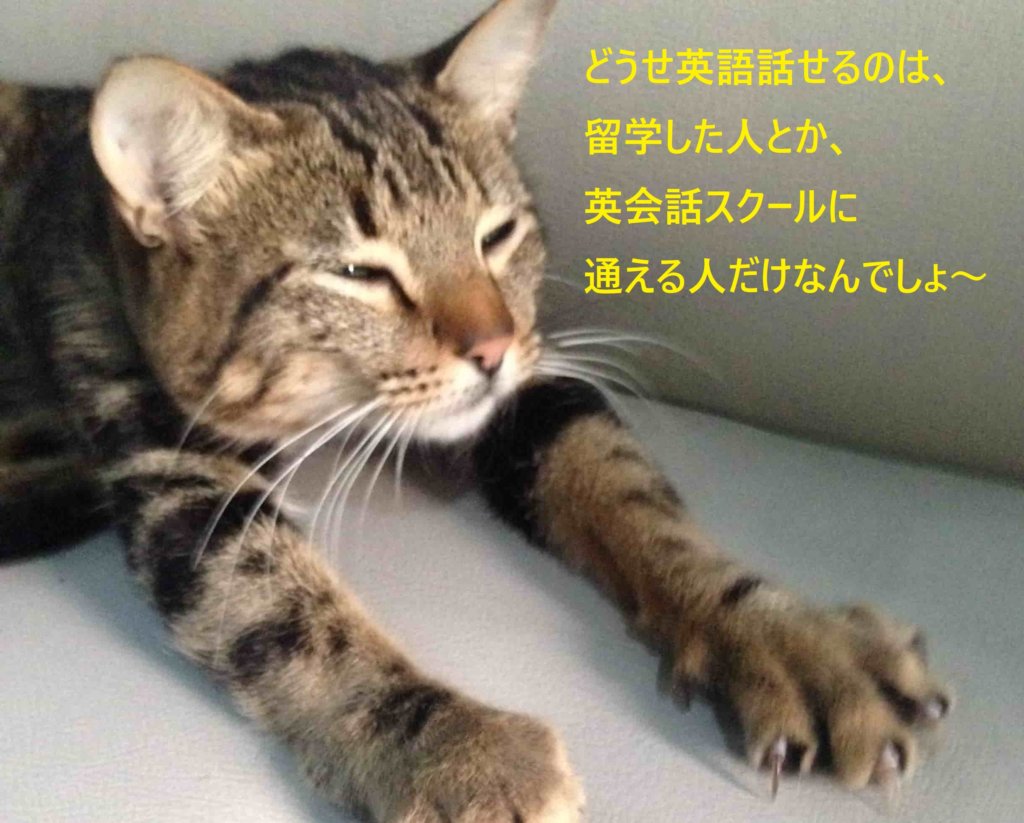 英会話の学習法って？