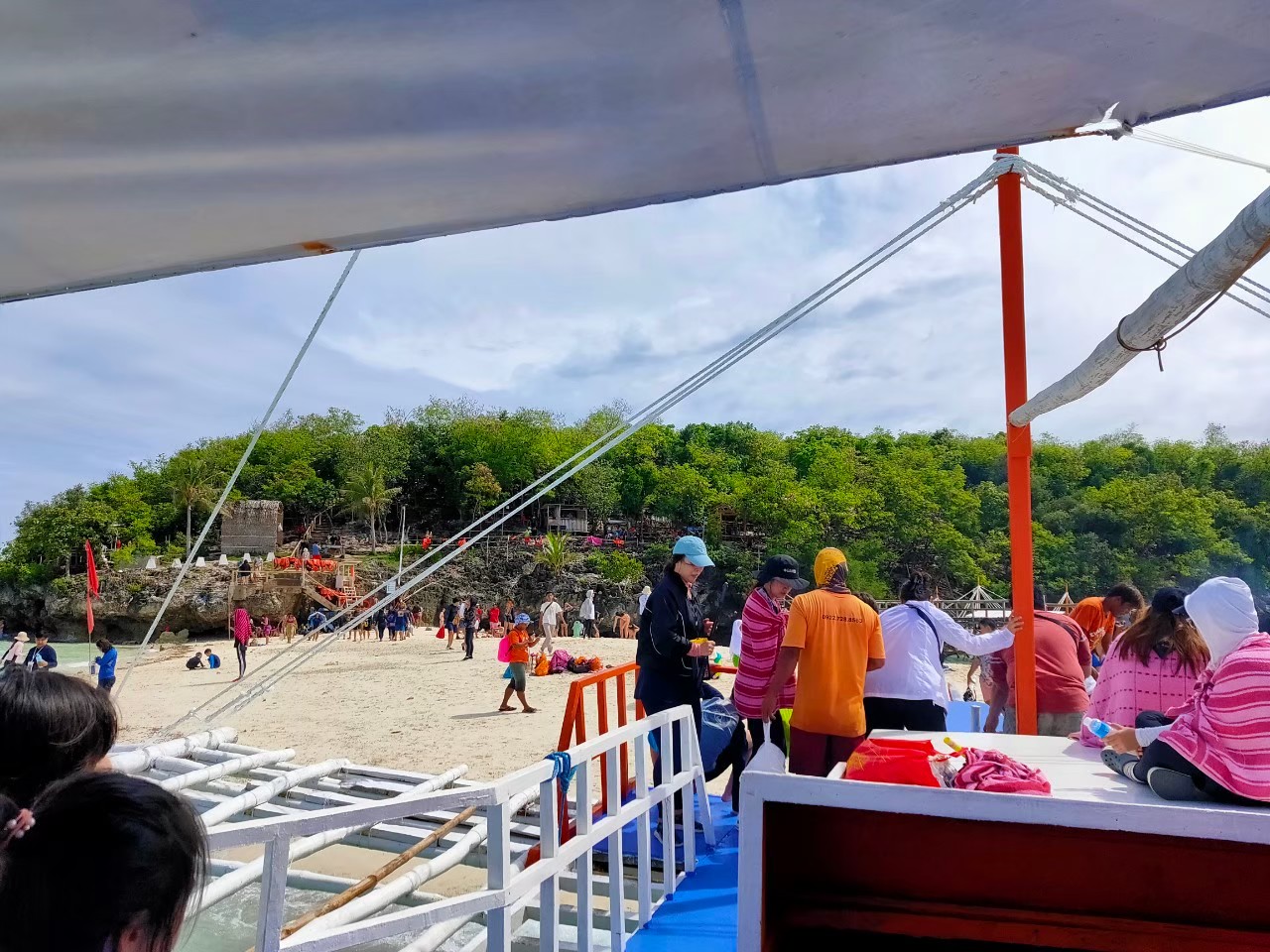 ジンベイザメウォッチング