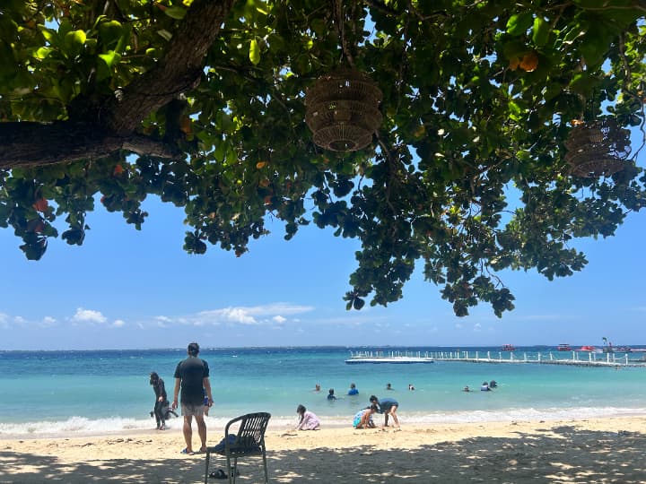 学校アクティビティ