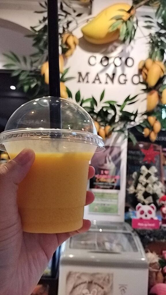 【大学4年】就活前のセブ島留学で変わった価値観｜「キャリアの正解」なんてない？