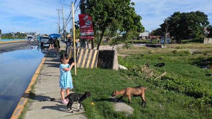 0歳と4歳のセブ島親子留学!First Englishのベビーシッター活用術