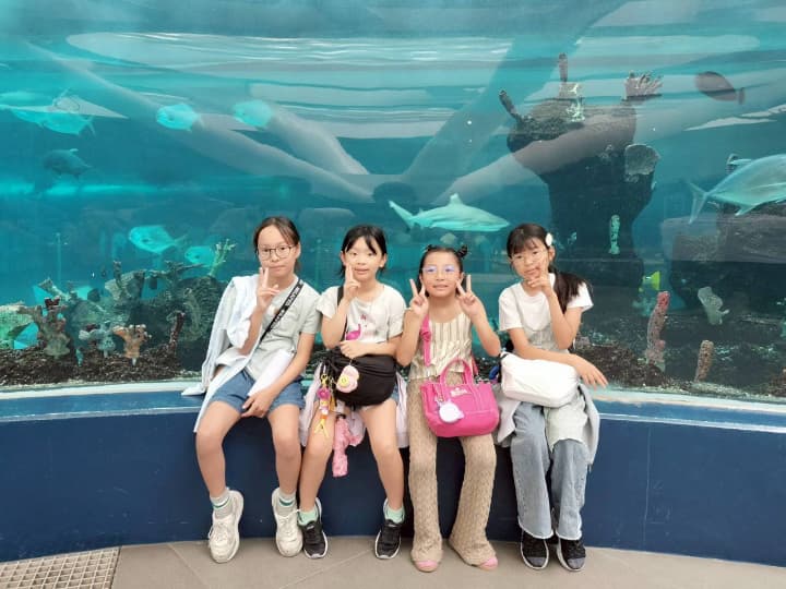 滞在環境、食事、アクティビティ