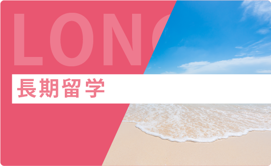 長期留学