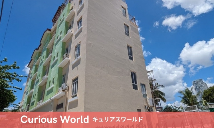 Curious World セブ島