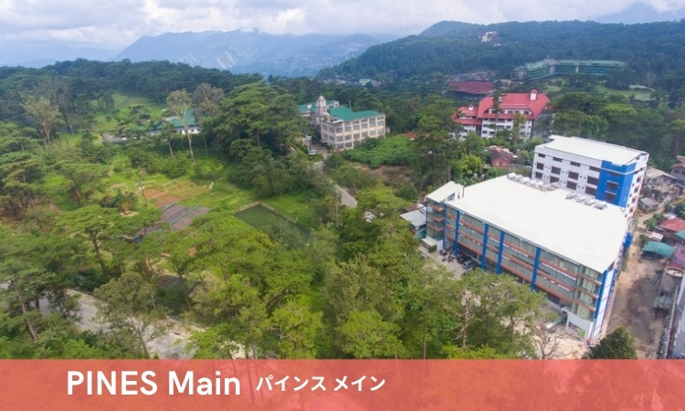 PINES メイン バギオ