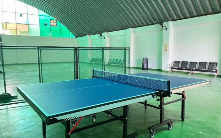 卓球台