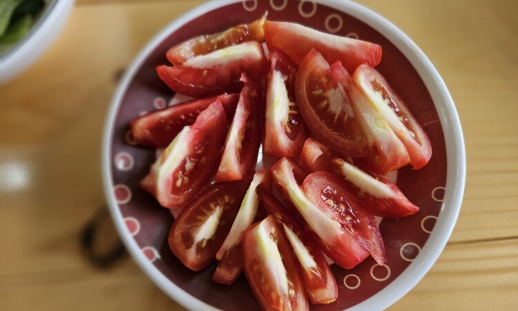 MONOL Spartaの食事：トマトのサラダ