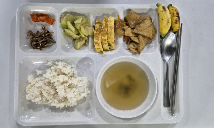 PIAの昼食。ご飯・スープ・野菜のおかず・肉料理のトレー
