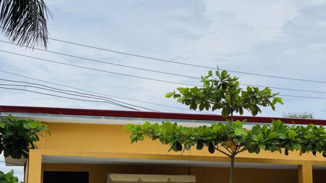 SMEAG Global School の施設
