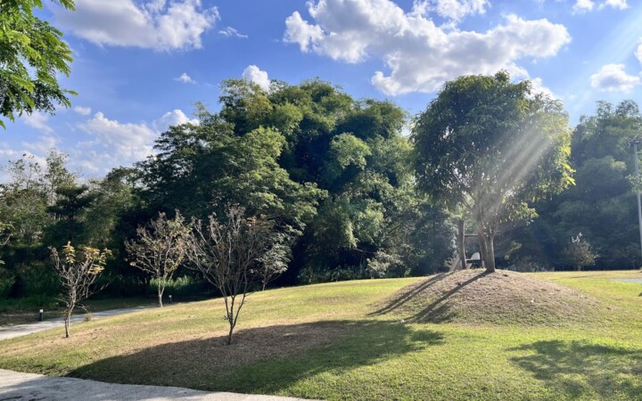 WALES NCAの近くにある芝生の公園