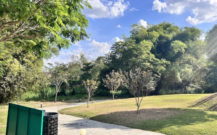 WALES NCAの近くにある緑の多い公園と遊歩道